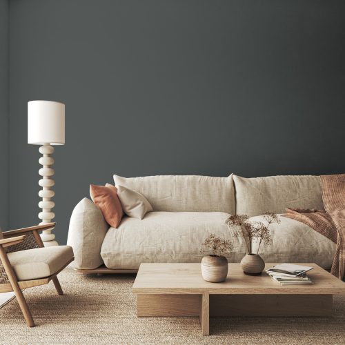 Matt_Wall_Paint_-_Graphite__01299 (1)